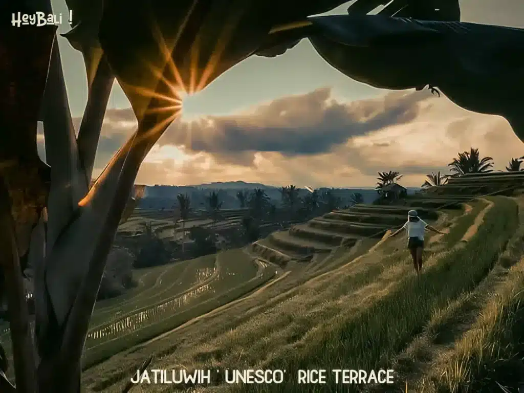 Jatiluwih Rice Terrace