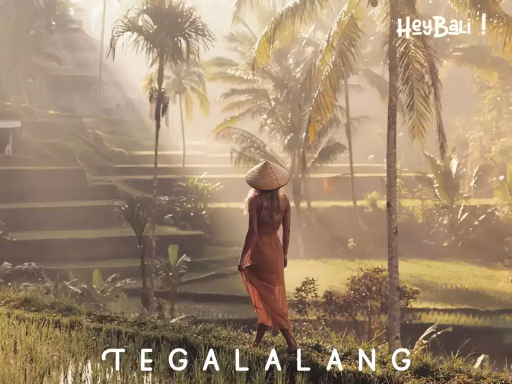 Tegalalang Rice Terraces - Best Tourist Attractions in Bali You Must Visit 