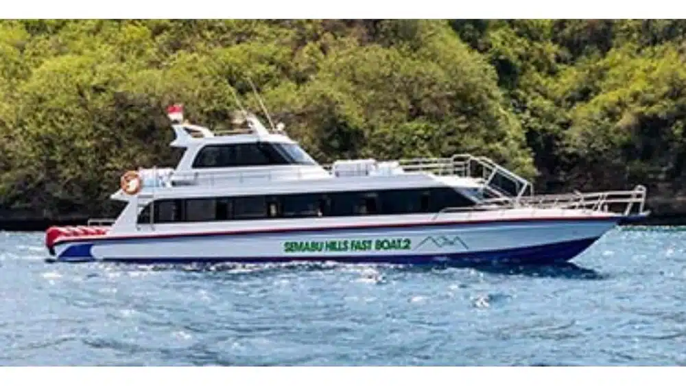 Fast Boat Ticket to Nusa Penida With Semabu Hills