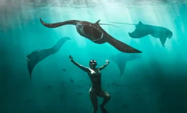 Private And Sharing Snorkeling Nusa Penida