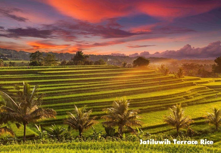 Jatiluwih Unesco site - Bedugul Unesco Tour