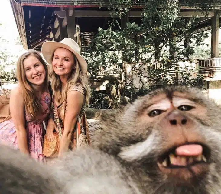 Monkey Forest Tour