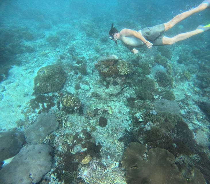 Private Snorkeling Nusa Penida