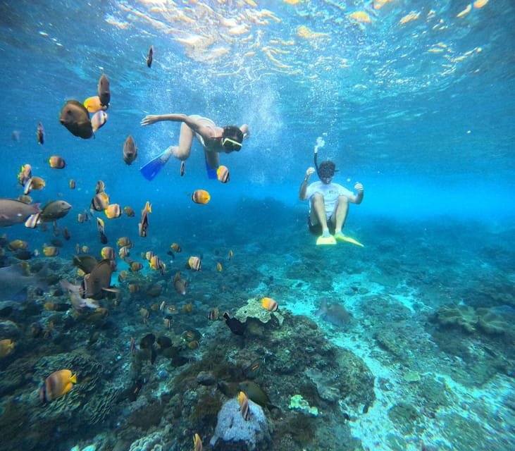 Private Snorkeling Nusa Penida