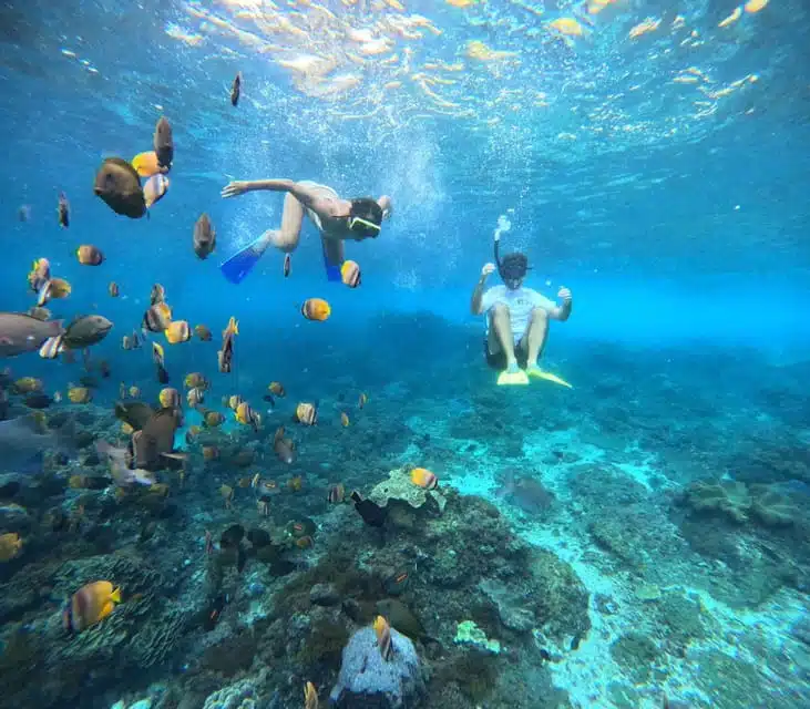 Private Snorkeling Nusa Penida