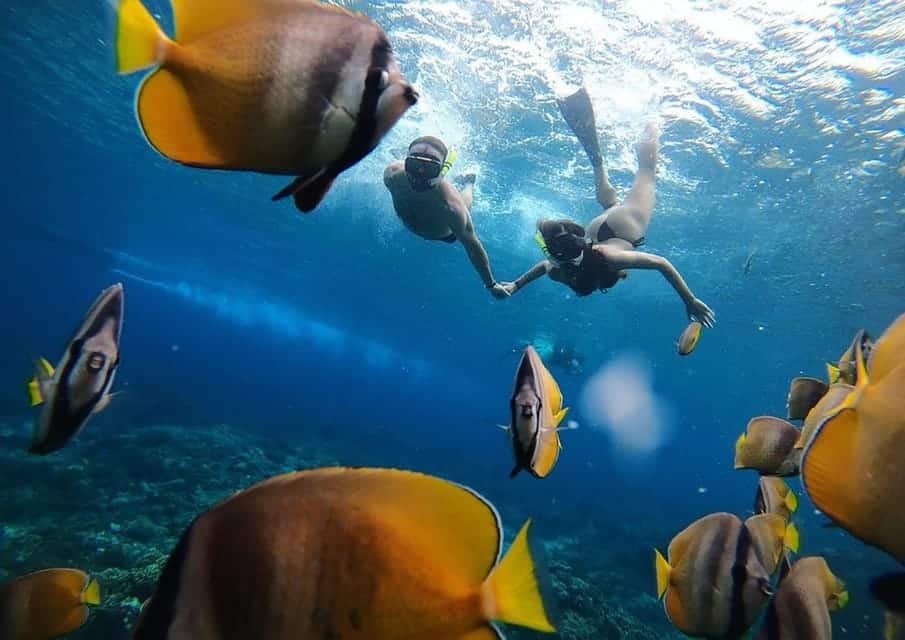 Sharing Snorkeling Nusa Penida