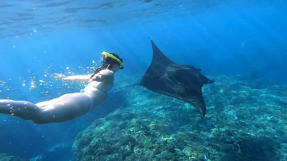 Manta Bay Nusa Penida