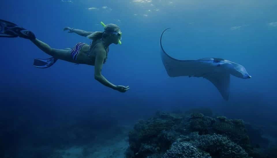 Manta Bay Nusa Penida