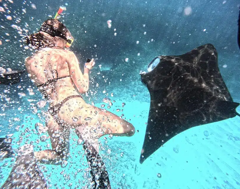 Manta Bay Nusa penida