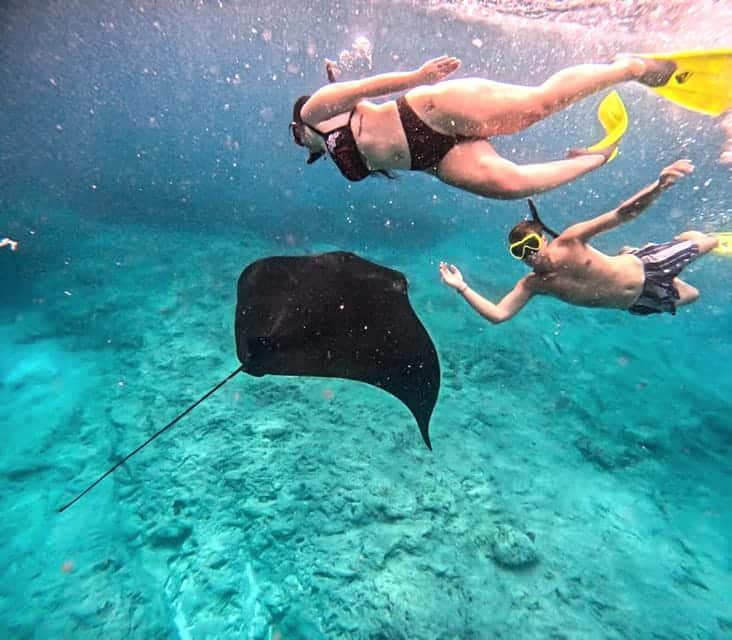 Manta Bay Nusa penida