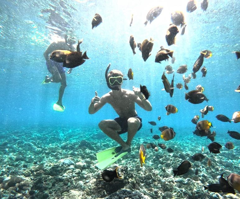 Underwater Nusa Penida