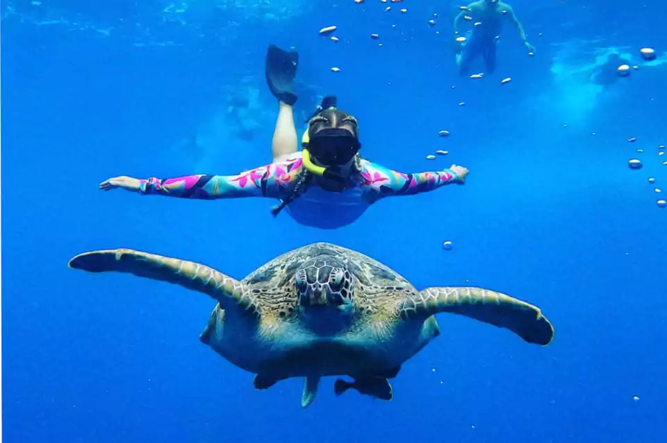 Snorkeling with Turtle Gili Meno