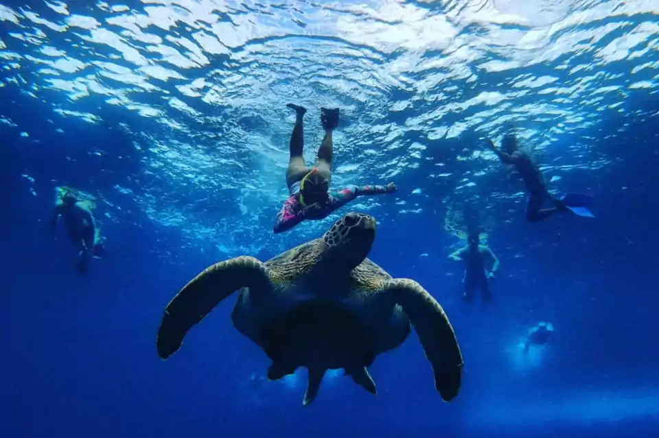 Snorkeling with Turtle Gili Meno