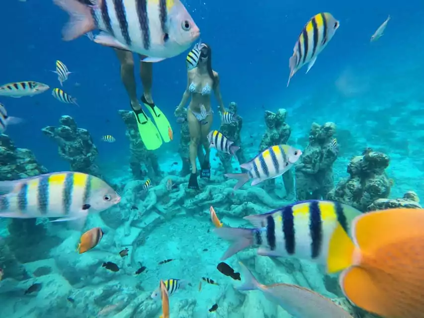 Sharing Snorkeling Gili Air