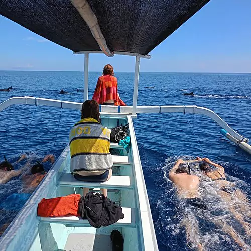 Dolphin watching in Lovina Bali