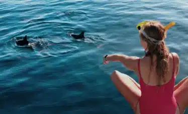 Watching Dolphins in Lovina