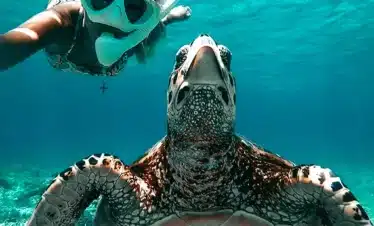 Private Snorkeling Tour Gili Trawangan