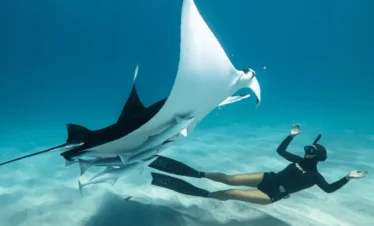 Private Snorkeling Nusa Penida