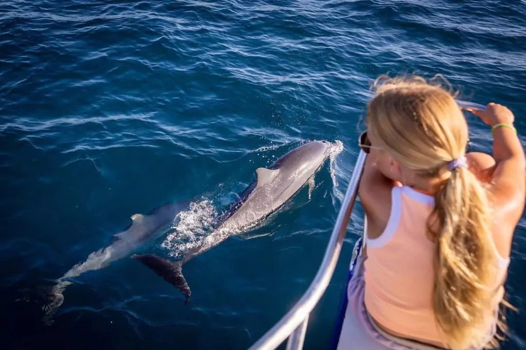 watching dolphins lovina tour