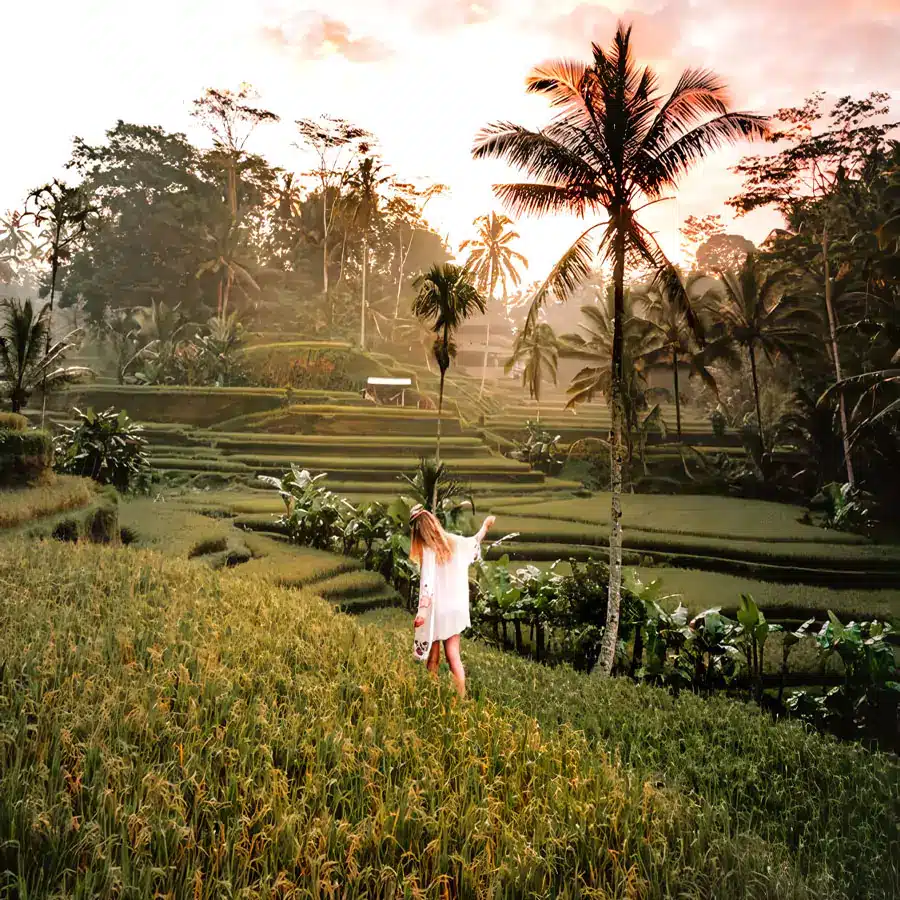 Tegalallang Ubud - Kintamani Day Tour