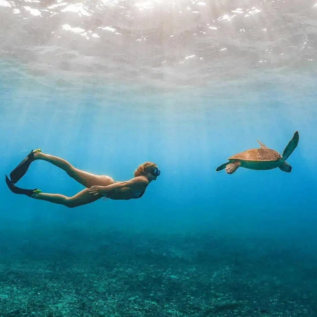 Gili Trawangan Underwater Turtle