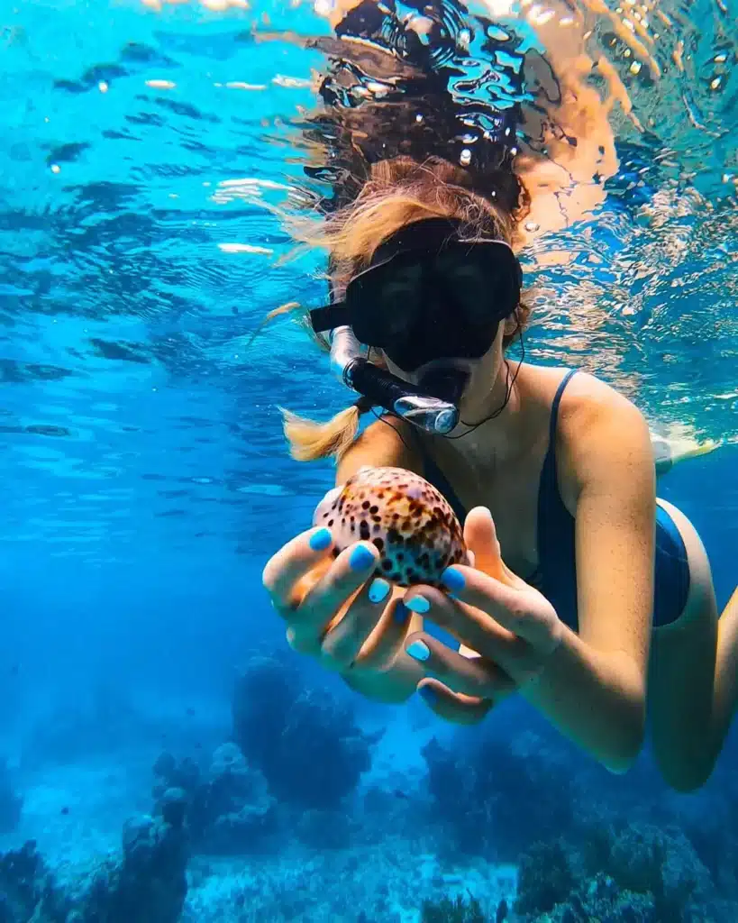 Snorkeling at Menjangan Island