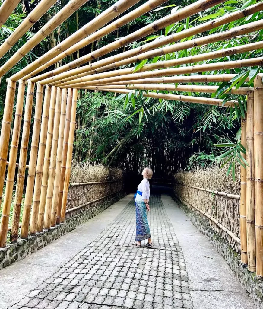 Bamboo entrance panglipuran village bali