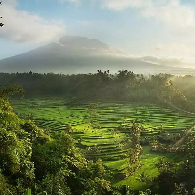 Sidemen: Hidden Beauty in East Bali