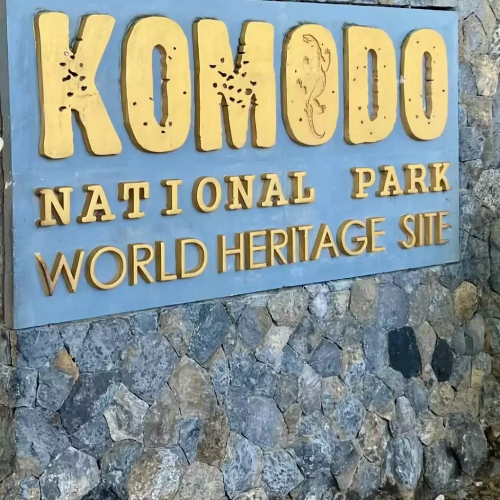 Where Does Komodo Dragon Live - Komodo National Park