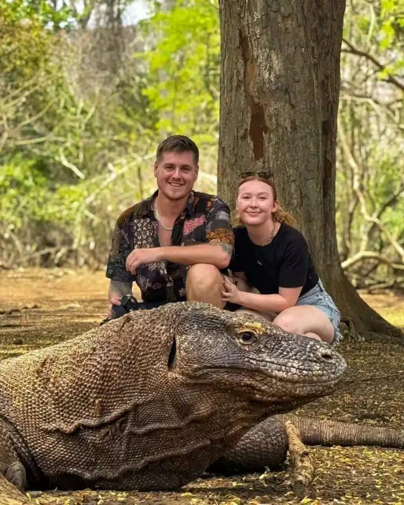 Where Komodo Dragons Live - Photo With Komodo 