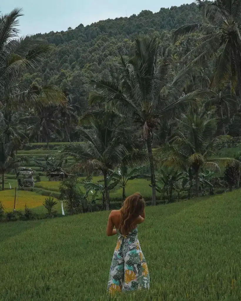 Peaceful Bali Adventure - Desa Munduk