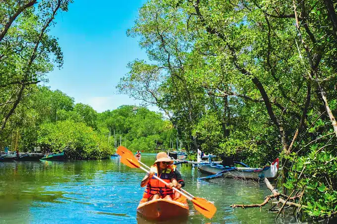 Bali Mangrove Canoeing