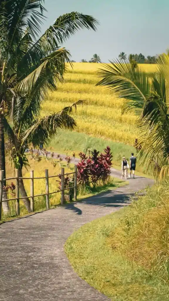 Jatiluwih Rice Terraces