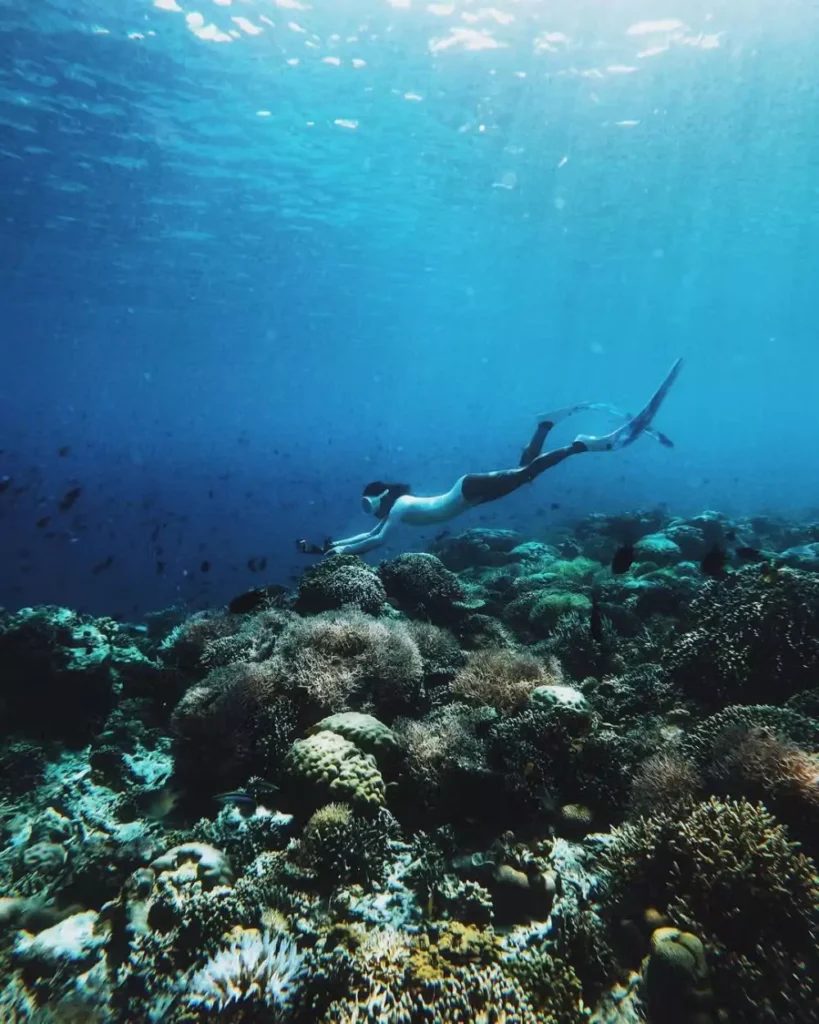 Dive at Kanawa Island