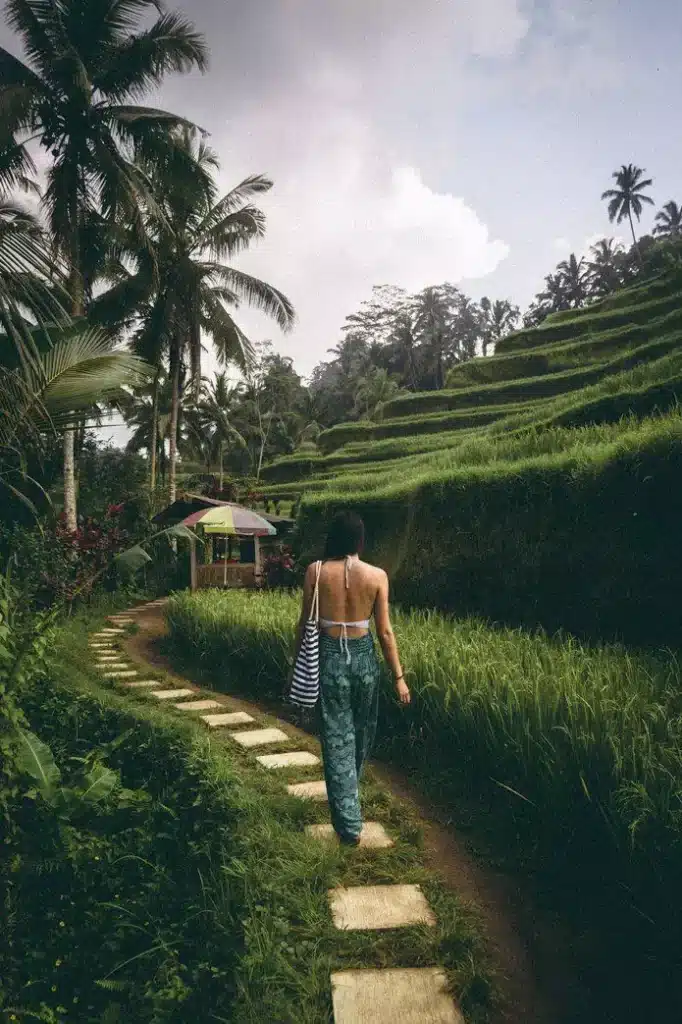 Tegallalang Ubud Bali Most Destination in Bali