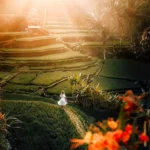 7 Best Rice Terraces in Bali – Hidden Gems & Must-Visit Spots (Comparison Guide)