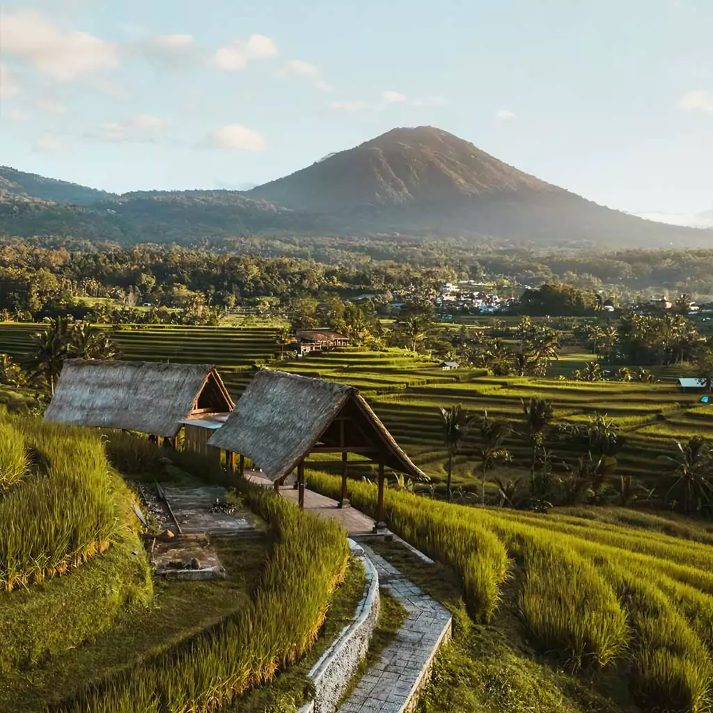 9 Must-Try Activities at Jatiluwih Rice Terraces: A Traveler’s Guide