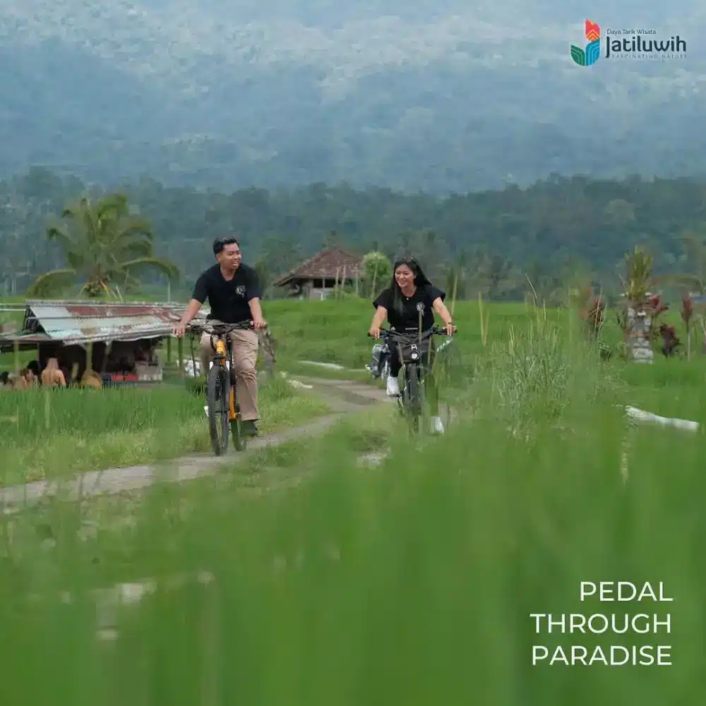 Bike at Jatiluwih Rice Terraces