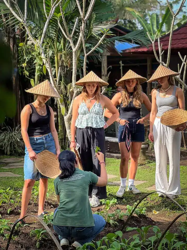 Plant something at bali  - Things to Do in Bali Today 1 July 2025