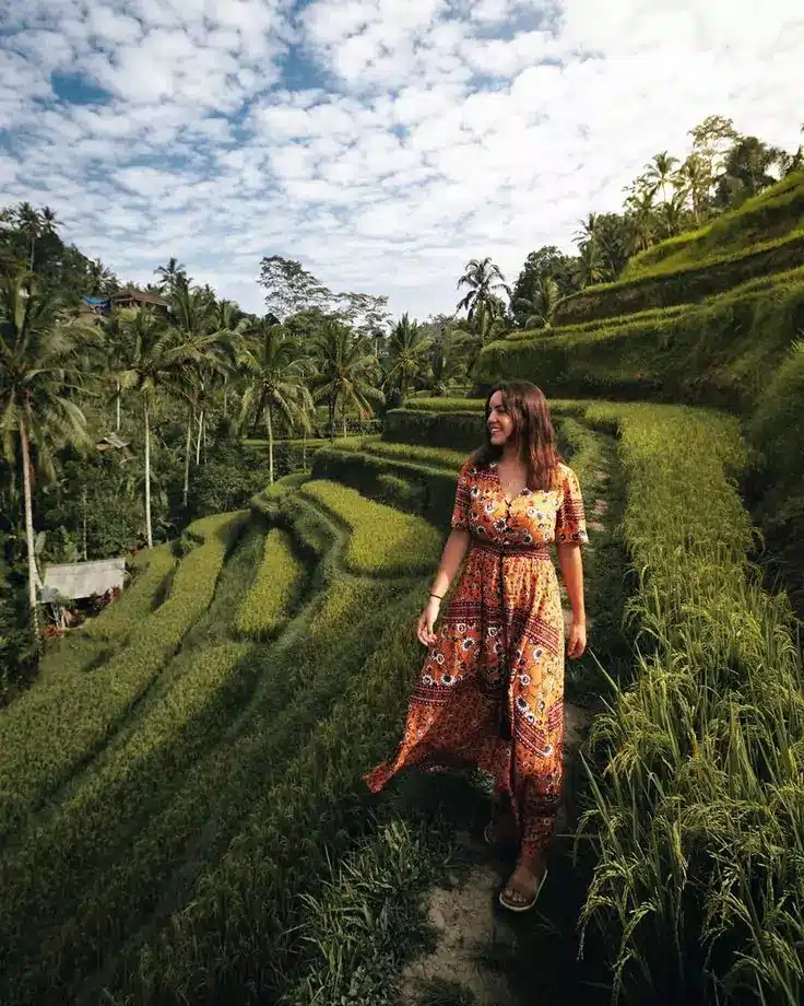 tegallalng rice terrace