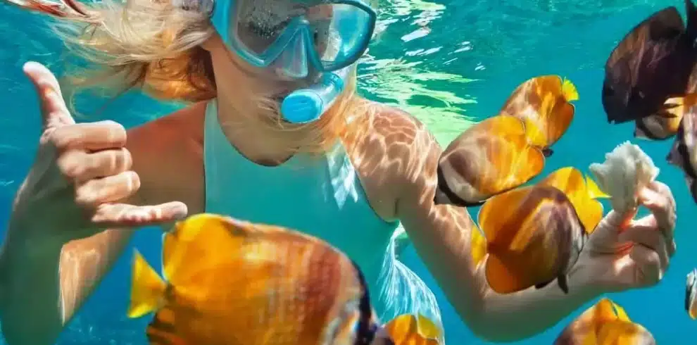Dive Into Paradise: Bali’s Top 5 Snorkeling Beaches