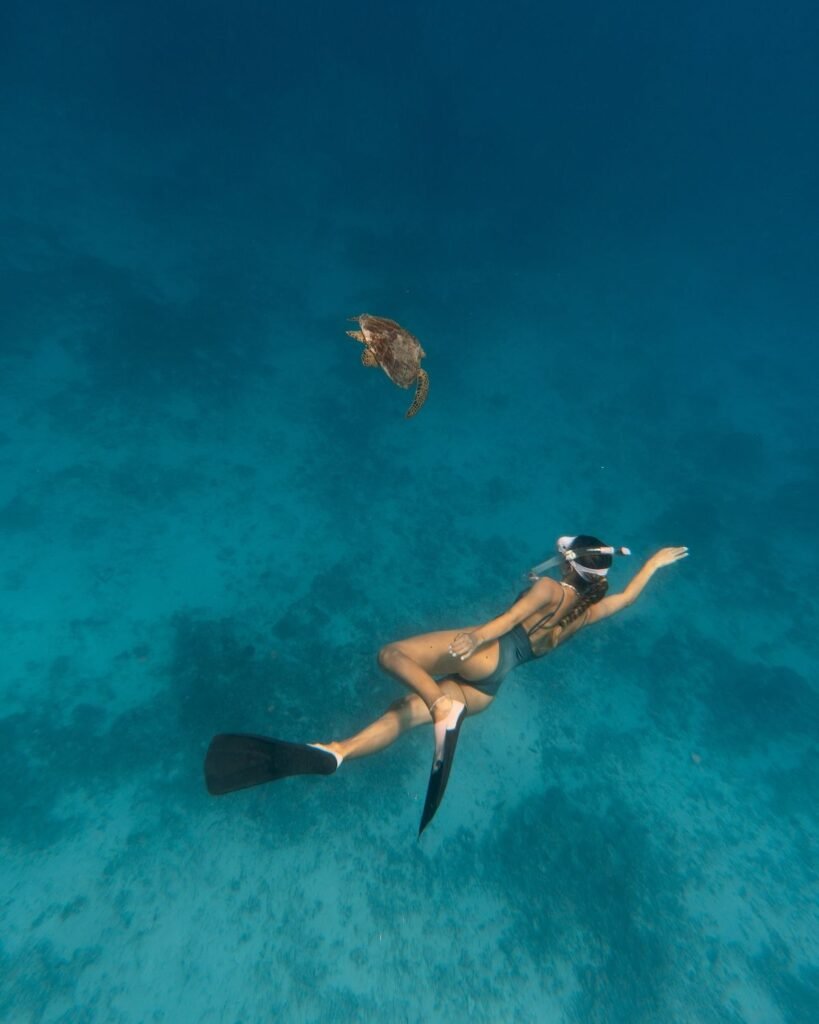 Snorkeling with Turtle 
