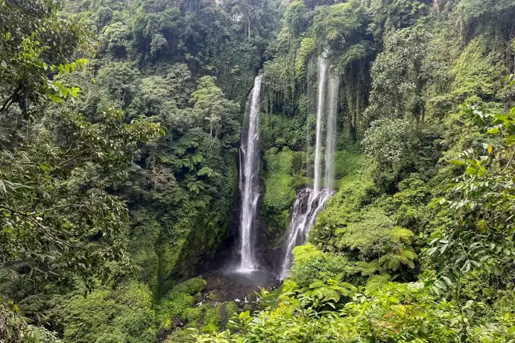 Sekumpul Waterfall