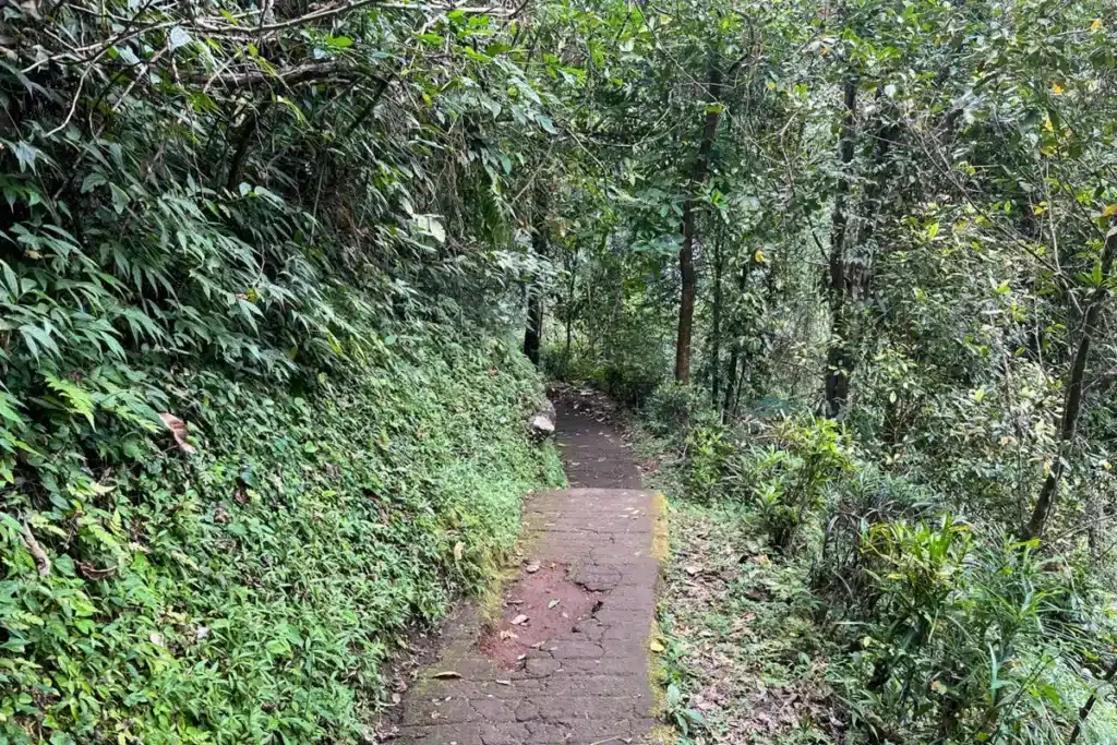The road to Sekumpul Waterfall in Bali