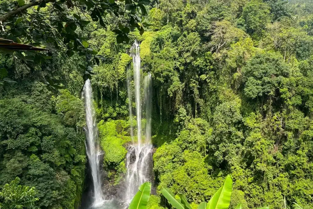 Sekumpul Waterfall in Bali