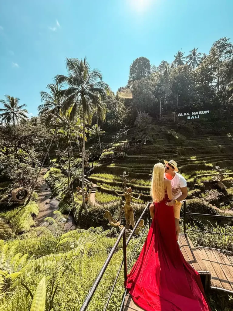 Alas Haru Ubud Private Tours