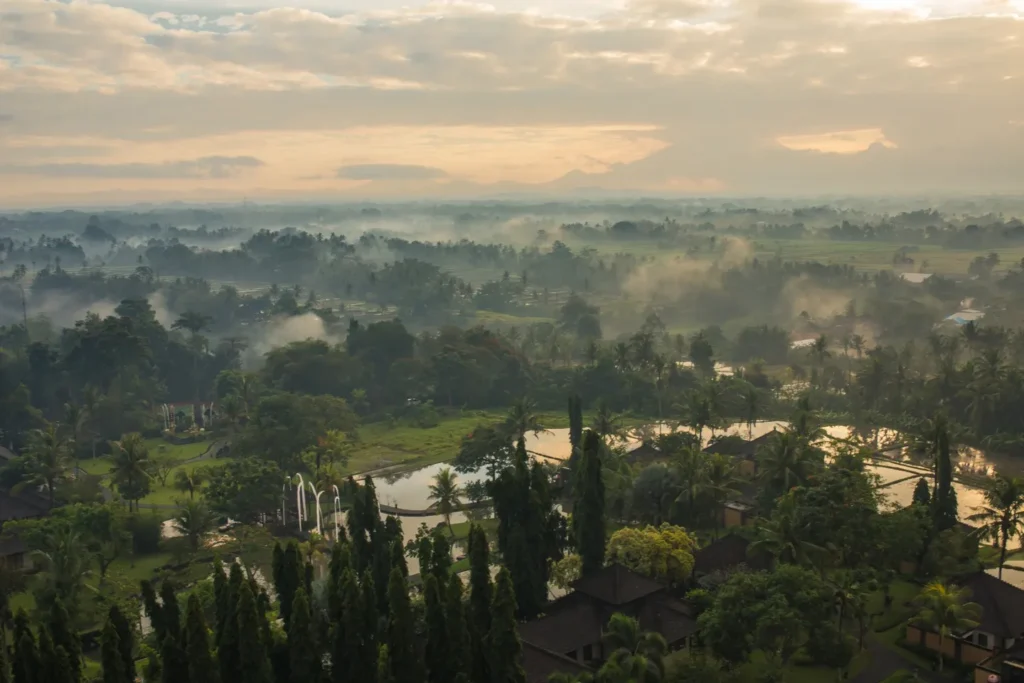 photo View from the top of a hot air balloon