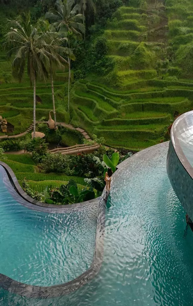 Drone photo shows a woman in a hotel swimming pool in Ubud with rice fields in the background. It looks very beautiful.