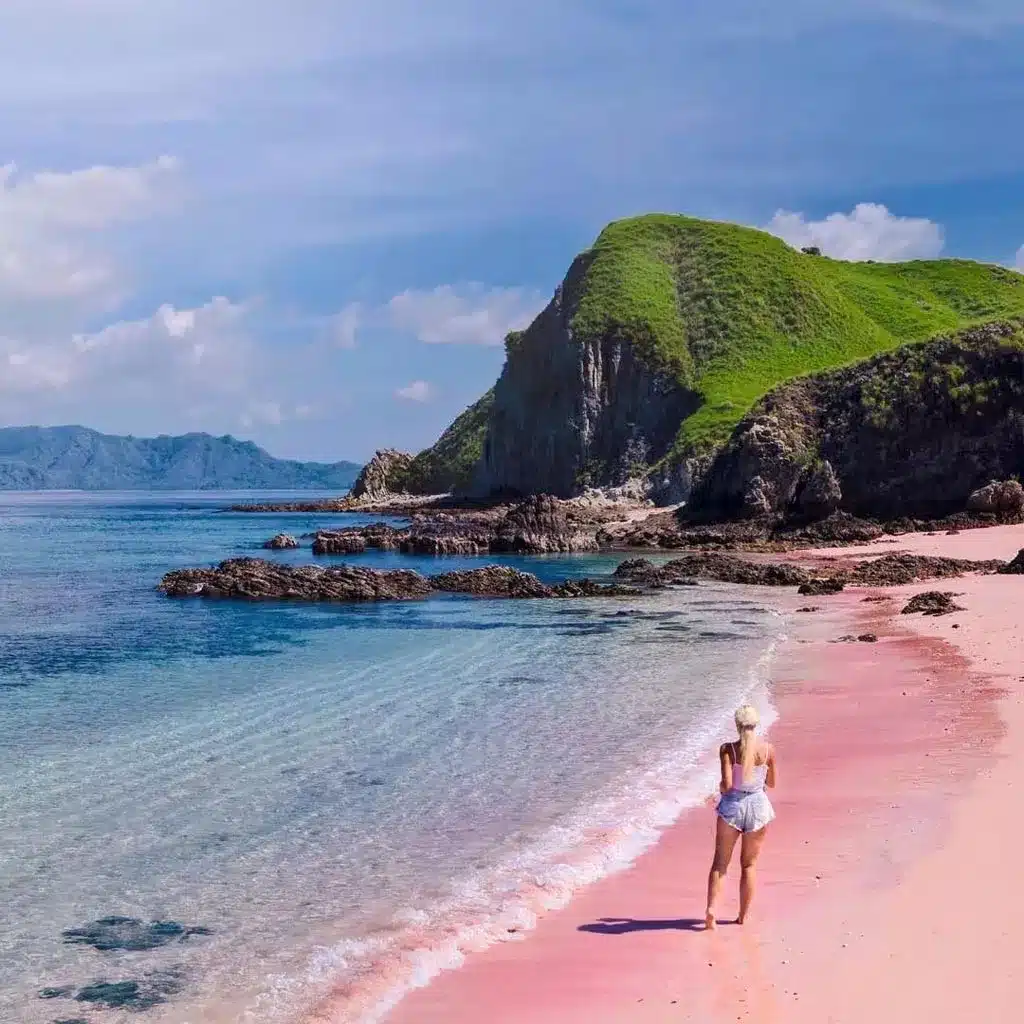 Komodo Tour From Labuan Bajo : A Clear-Eyed Guide to an Adventure Worth Doing Well