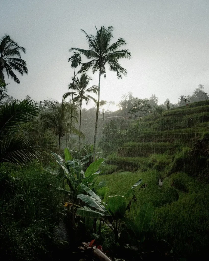 photo of Tegalalang Ubud during heavy rain